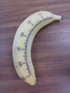 banana ruler